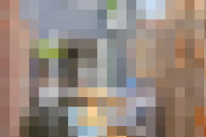 Pastoor Smitsstraat 54 Tilburg thumbnail 33
