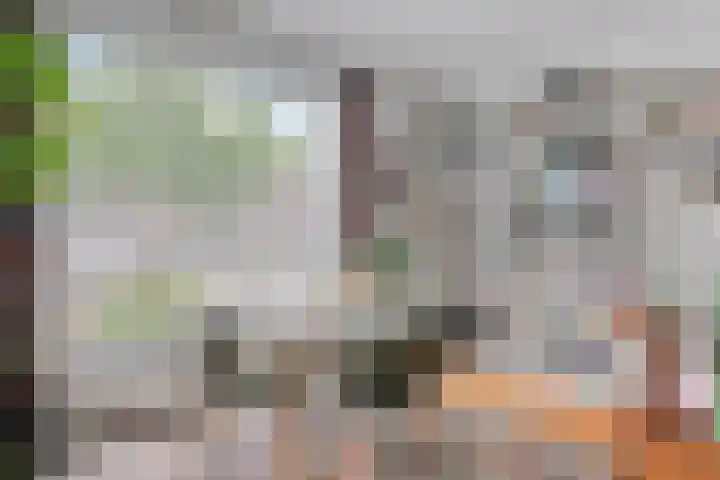 Pastoor Smitsstraat 57 Tilburg thumbnail 4