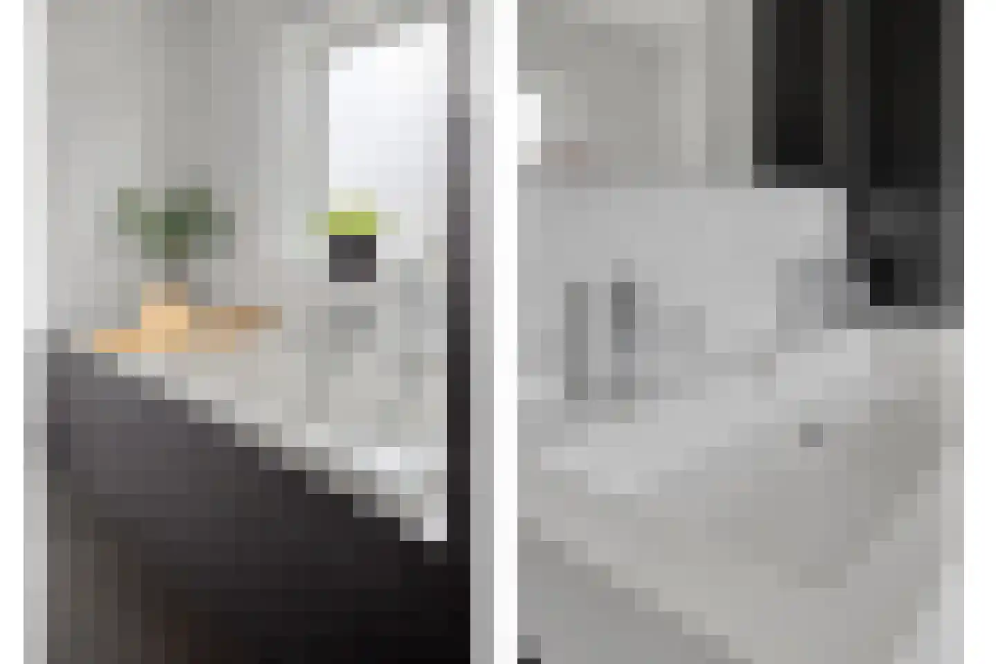 Pastoor Smitsstraat 92 Tilburg thumbnail 15