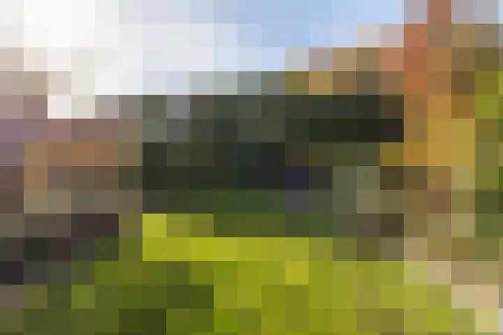 Pastoor Smitstraat 6 Groenlo thumbnail 41
