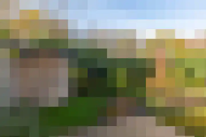Pastoor Smitstraat 6 Groenlo thumbnail 44