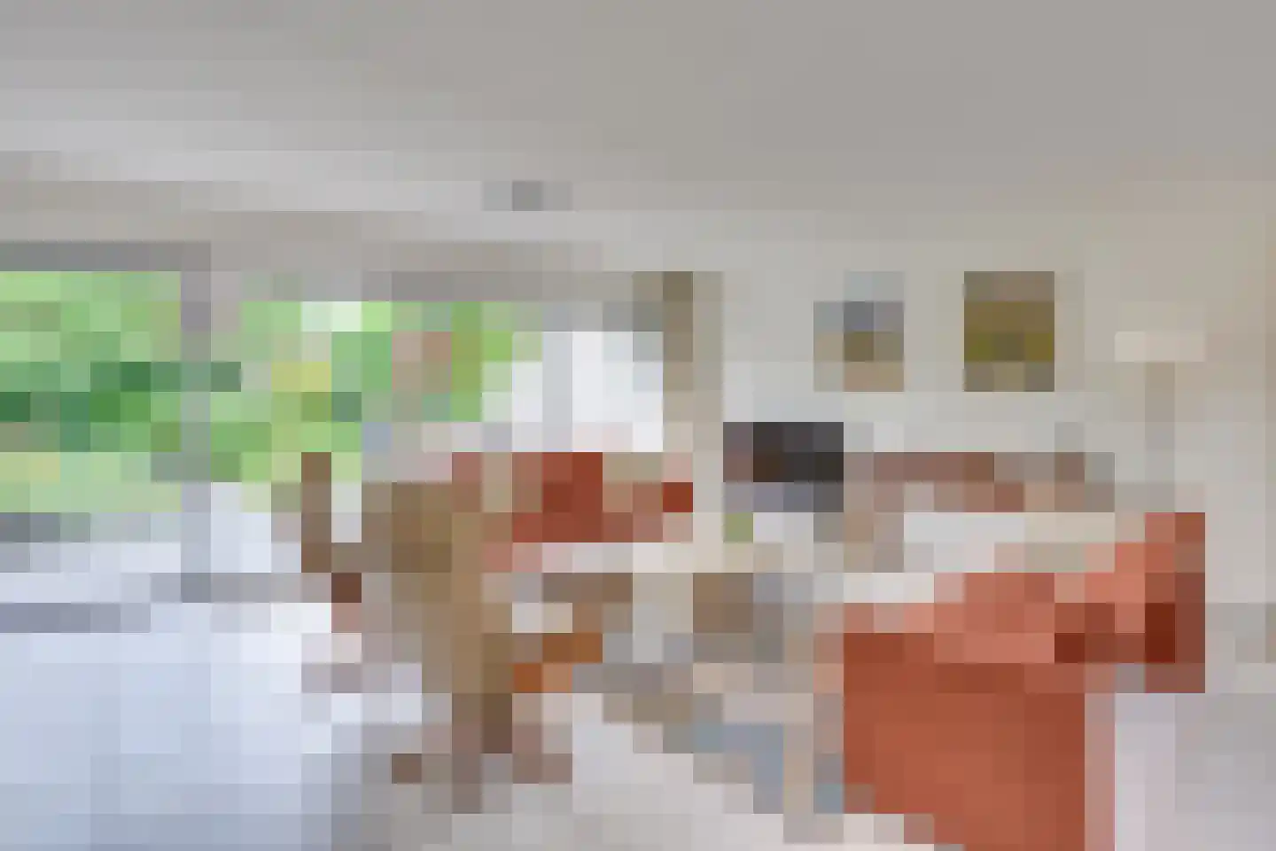 Pastoor Spieringslaan 20 Heeze thumbnail 10