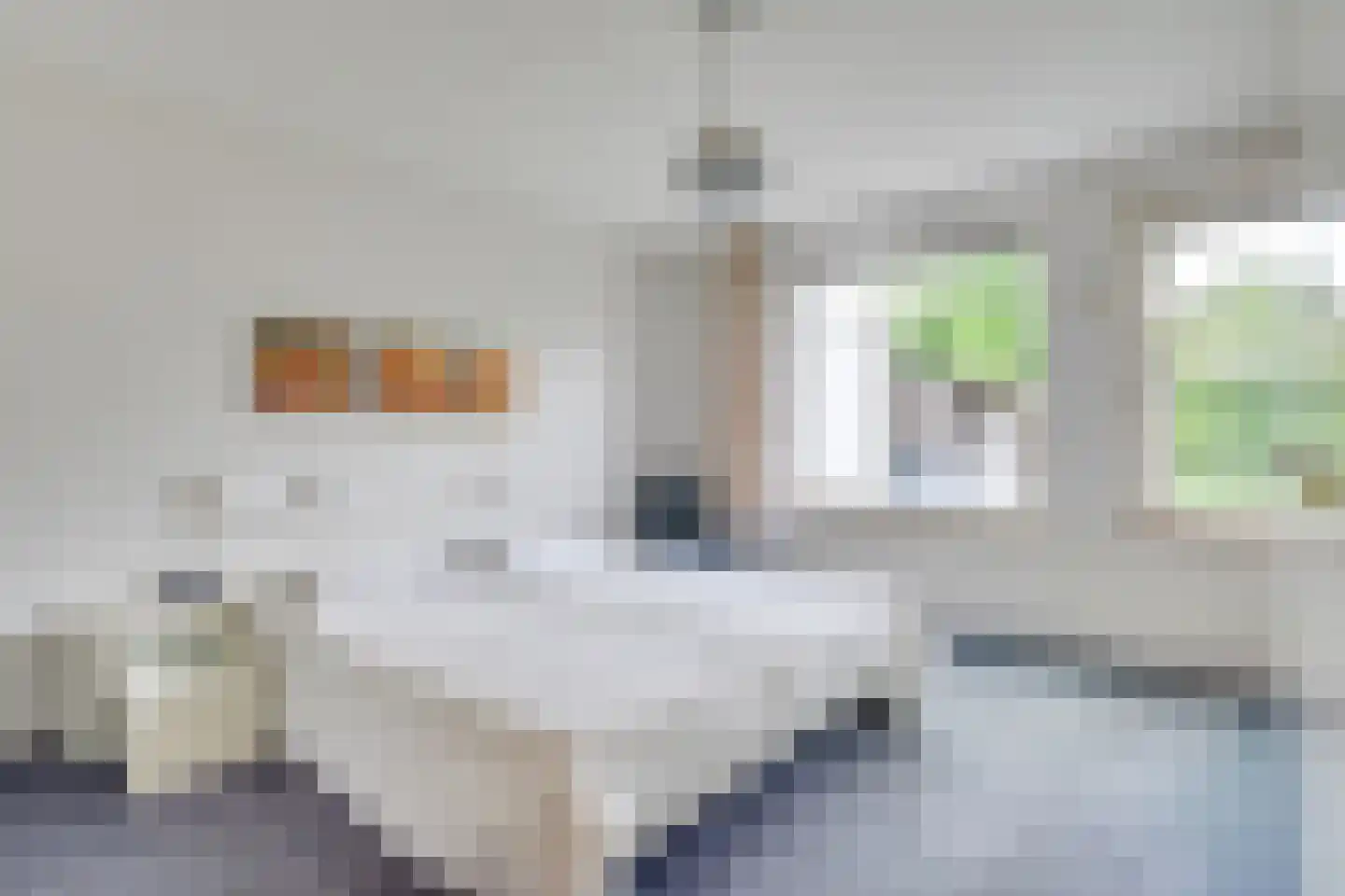 Pastoor Spieringslaan 20 Heeze thumbnail 19