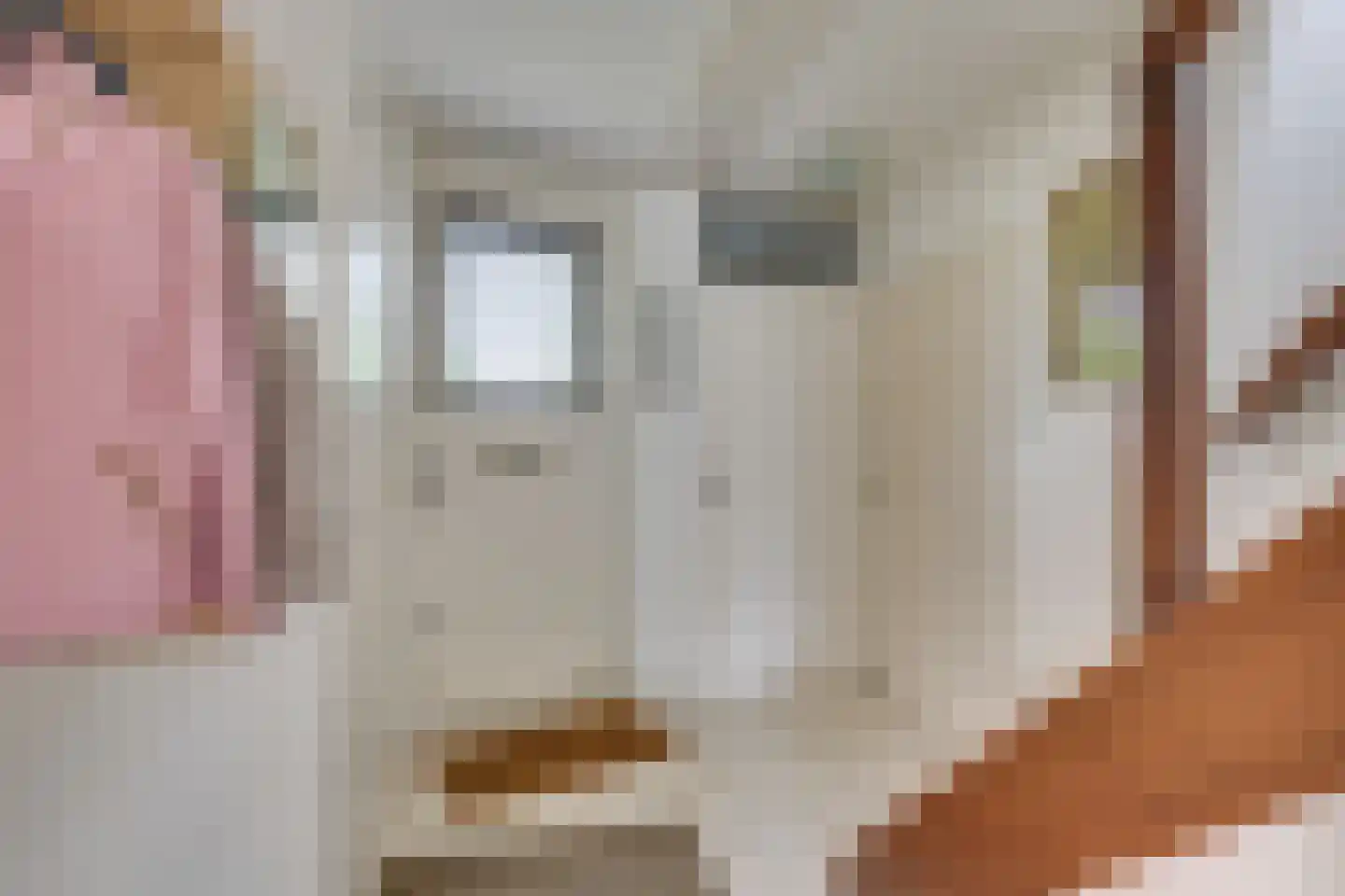 Pastoor Spieringslaan 20 Heeze thumbnail 7