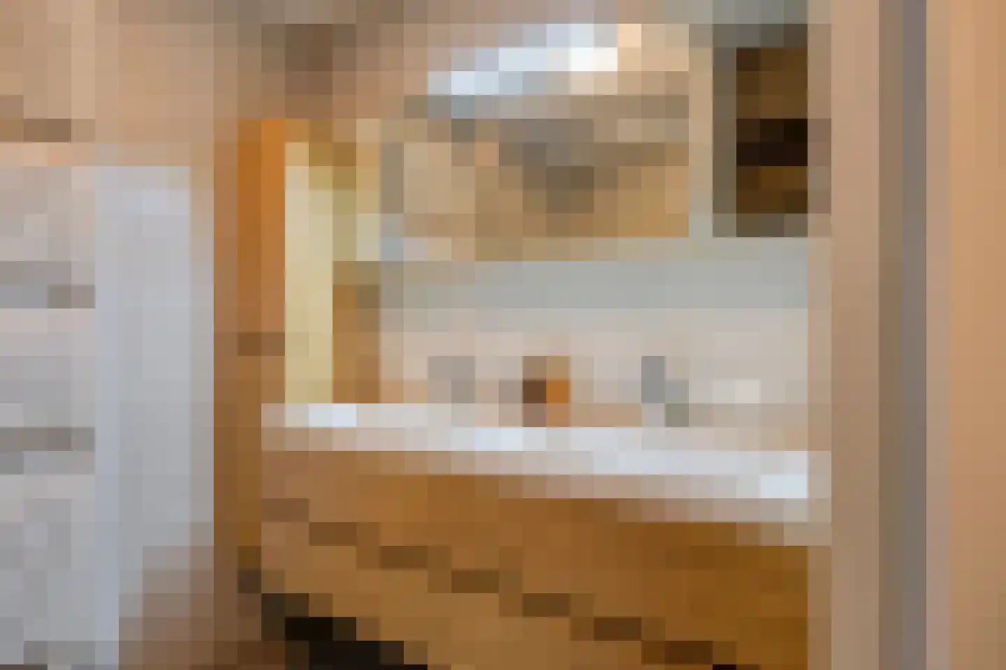 Pastoor Spieringsstraat 107 Uden thumbnail 17