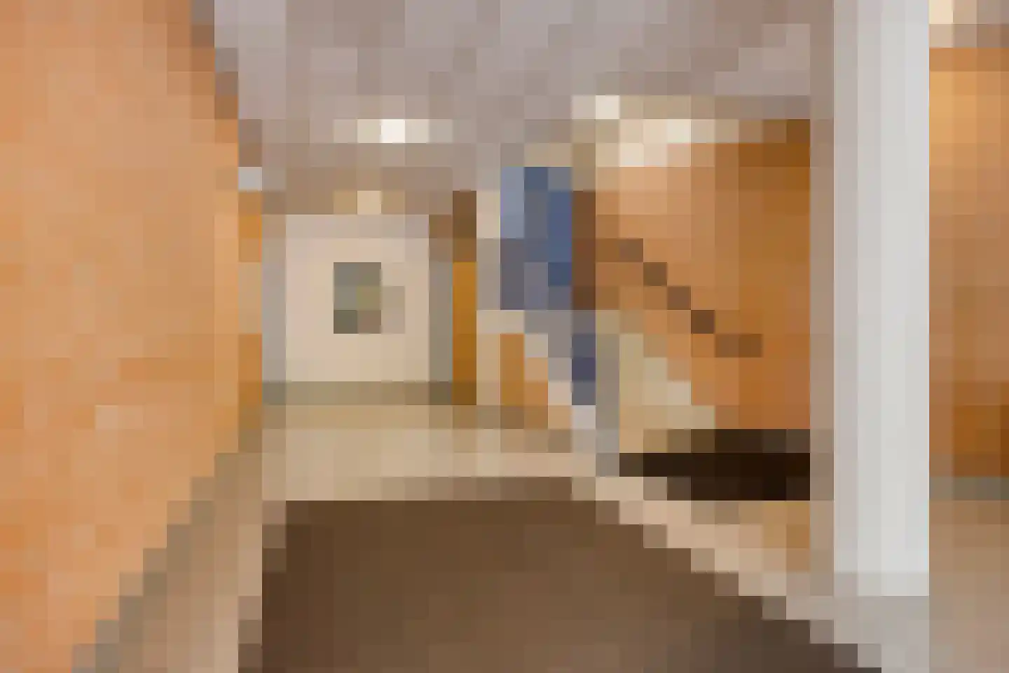 Pastoor Spieringsstraat 107 Uden thumbnail 27