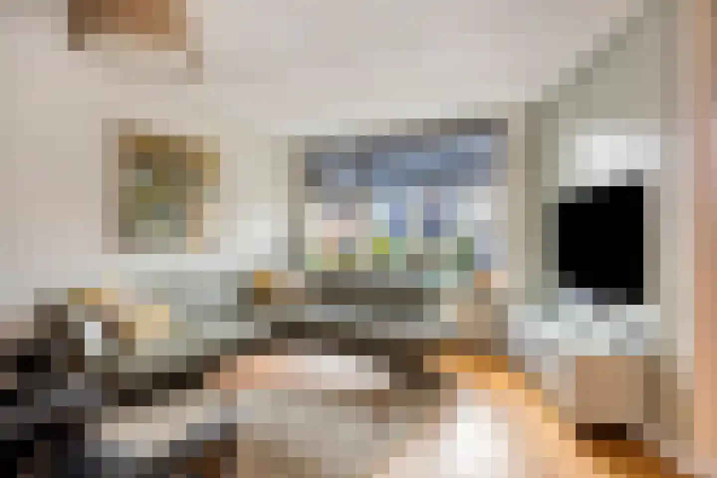Pastoor Spieringsstraat 107 Uden thumbnail 4