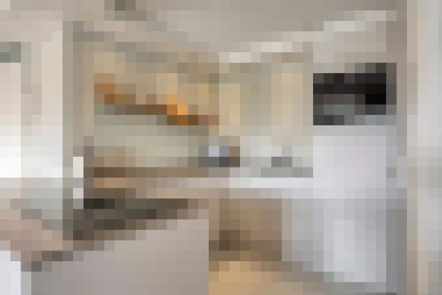 Pastoor Spieringsstraat 107 Uden thumbnail 6