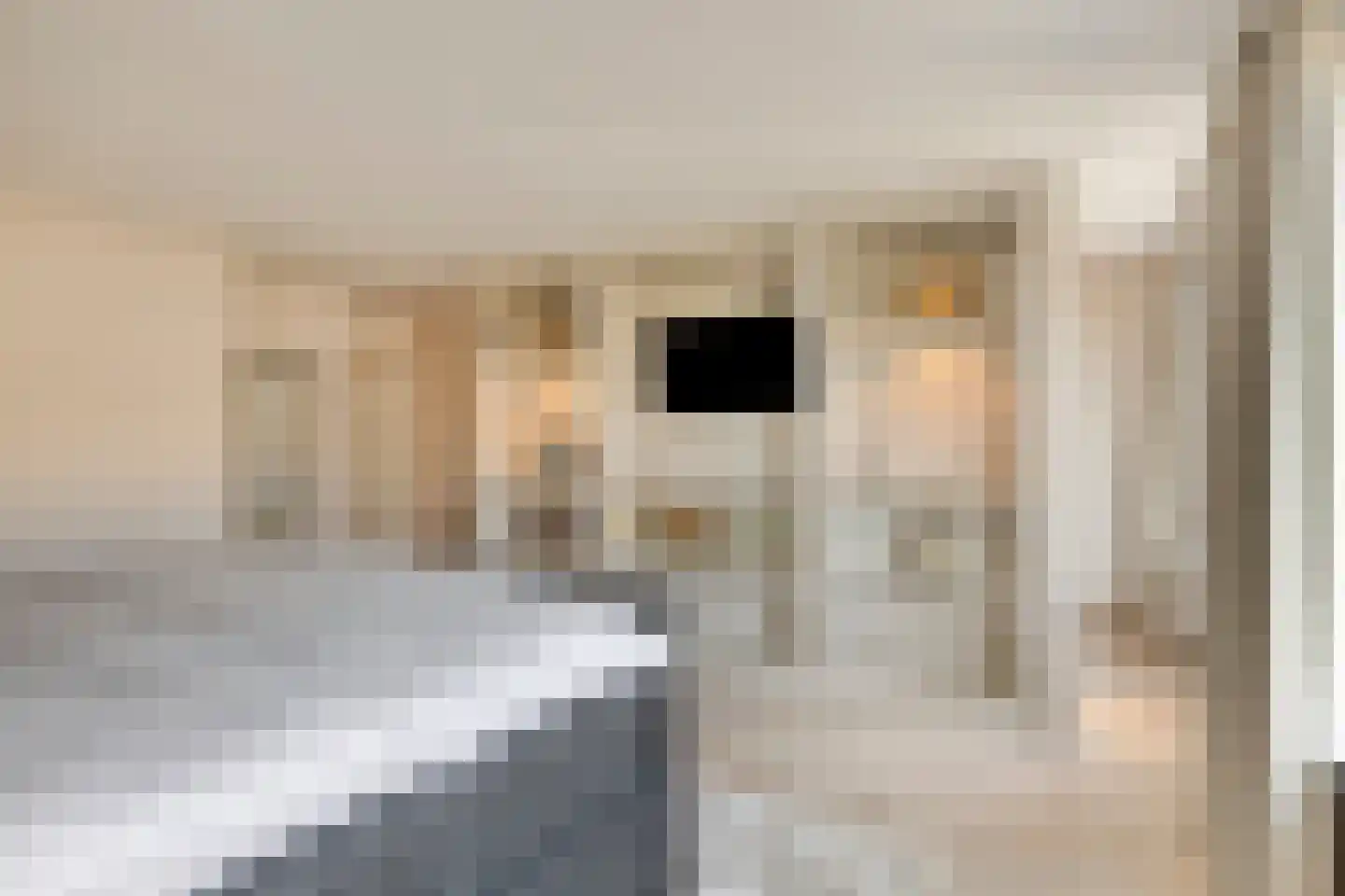 Pastoor Spieringsstraat 135 Uden thumbnail 24