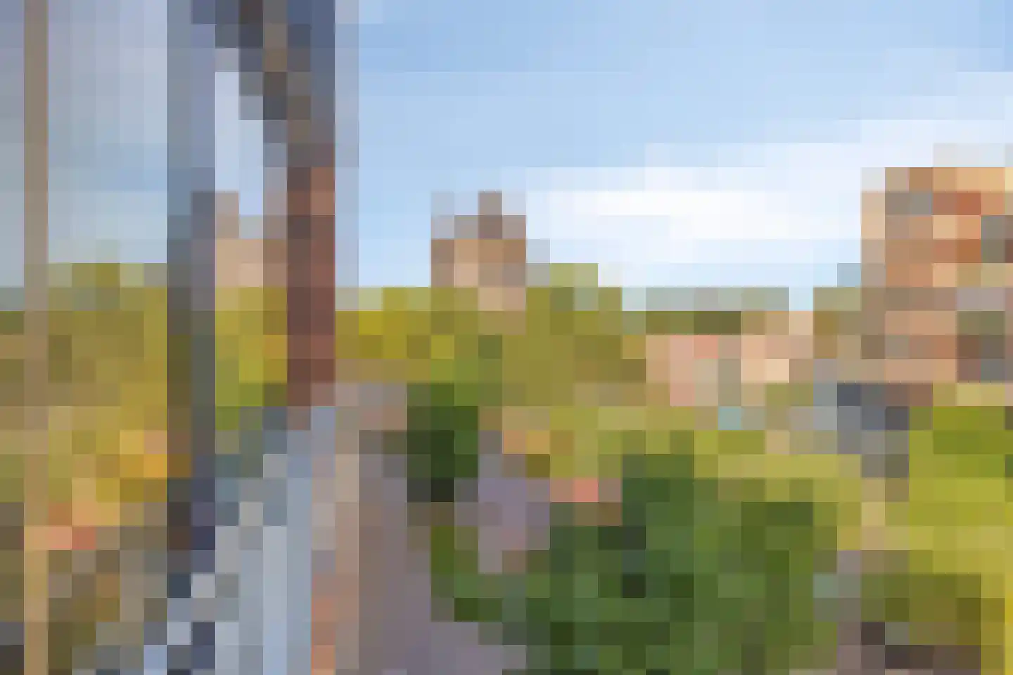 Pastoor Spieringsstraat 135 Uden thumbnail 36