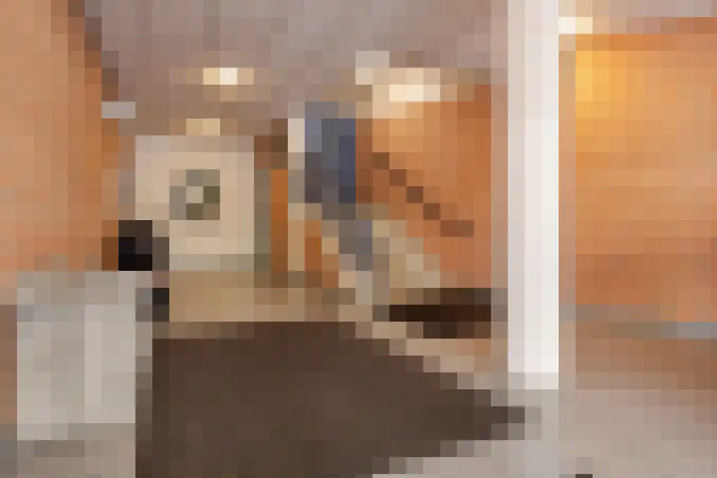 Pastoor Spieringsstraat 195 Uden thumbnail 6