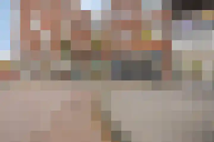 Pastoor Spieringsstraat 225 Uden thumbnail 36