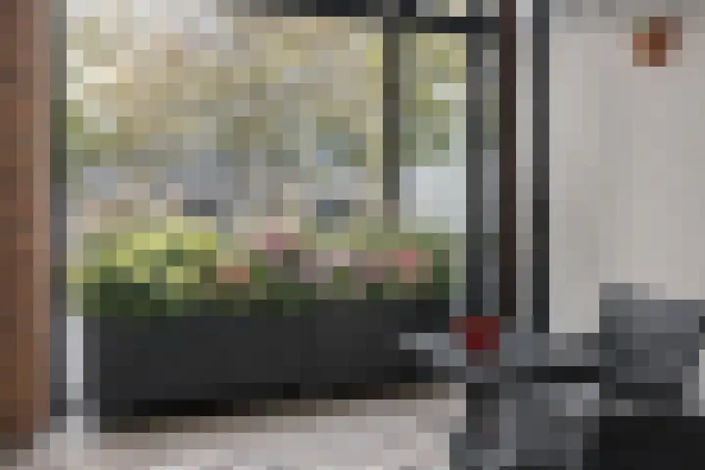 Pastoor Spieringsstraat 227 Uden thumbnail 20