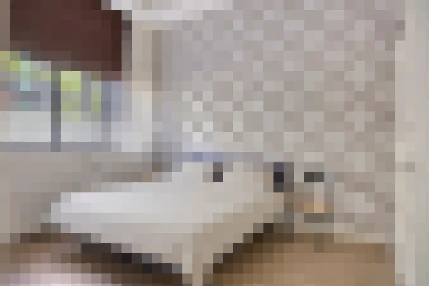 Pastoor Spieringsstraat 227 Uden thumbnail 23