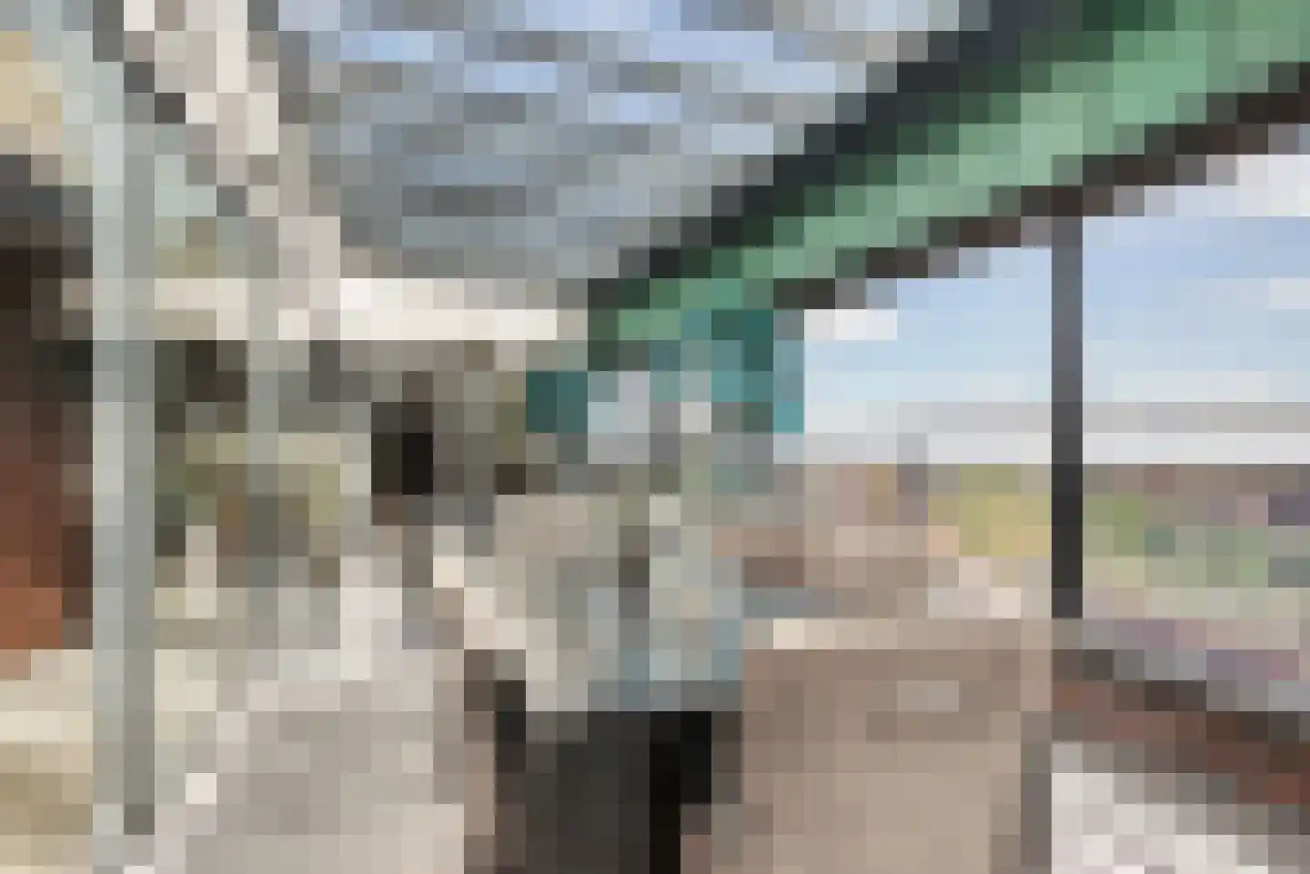Pastoor Spieringsstraat 319 Uden thumbnail 22