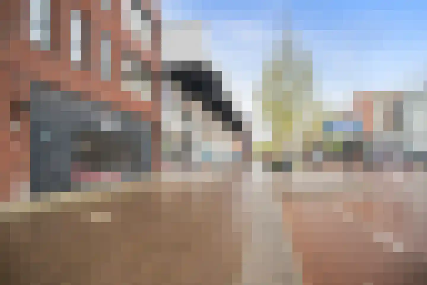 Pastoor Spieringsstraat 319 Uden thumbnail 44