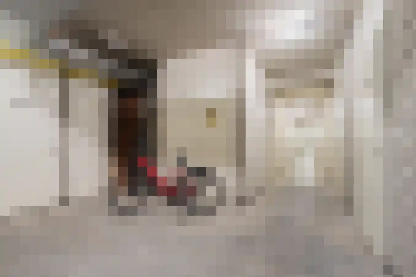 Pastoor Spieringsstraat 319 Uden thumbnail 49