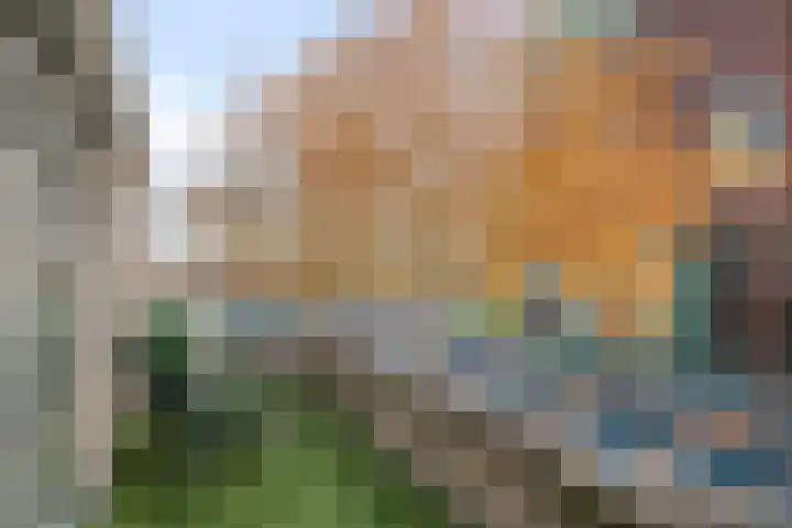 Pastoor Spieringsstraat 40 Uden thumbnail 10