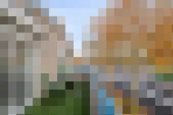 Pastoor Spieringsstraat 40 Uden thumbnail 11