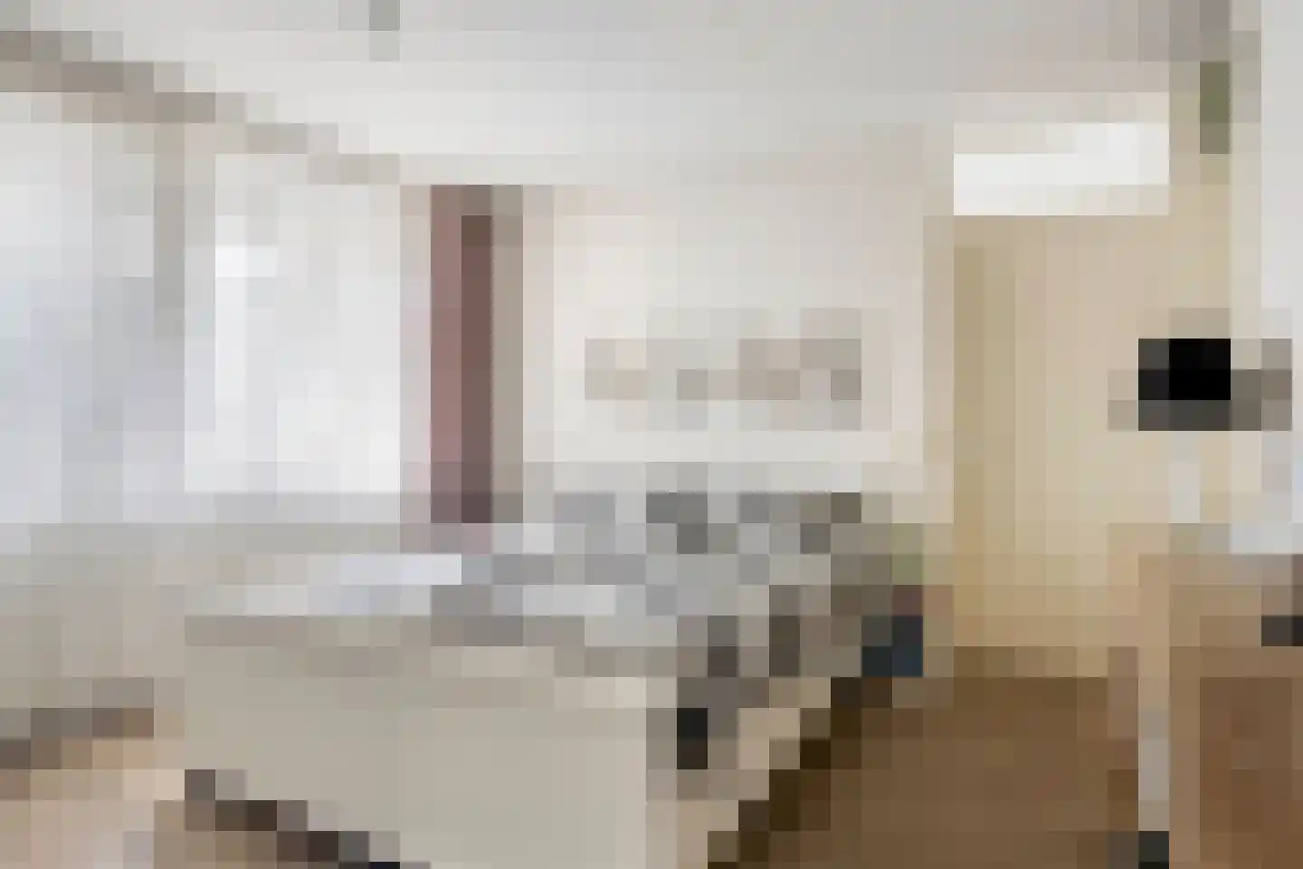 Pastoor Spieringsstraat 42 Uden thumbnail 18