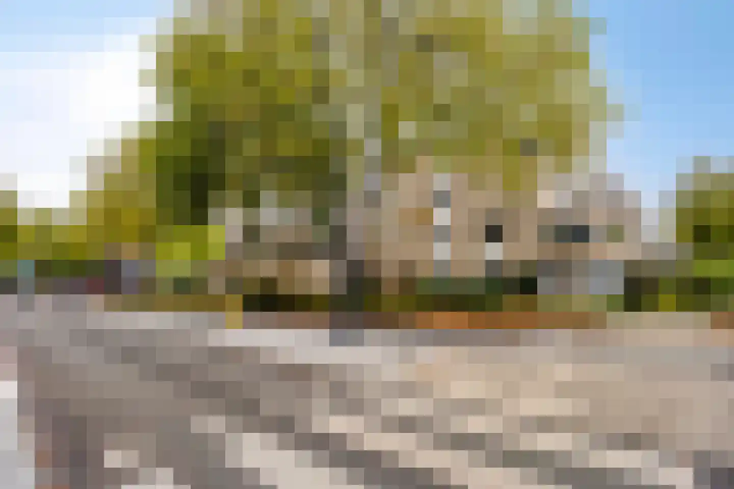 Pastoor Spieringsstraat 42 Uden thumbnail 32
