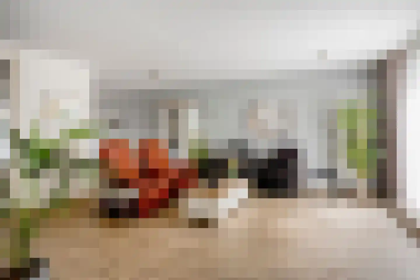 Pastoor Spieringsstraat 42 Uden thumbnail 6