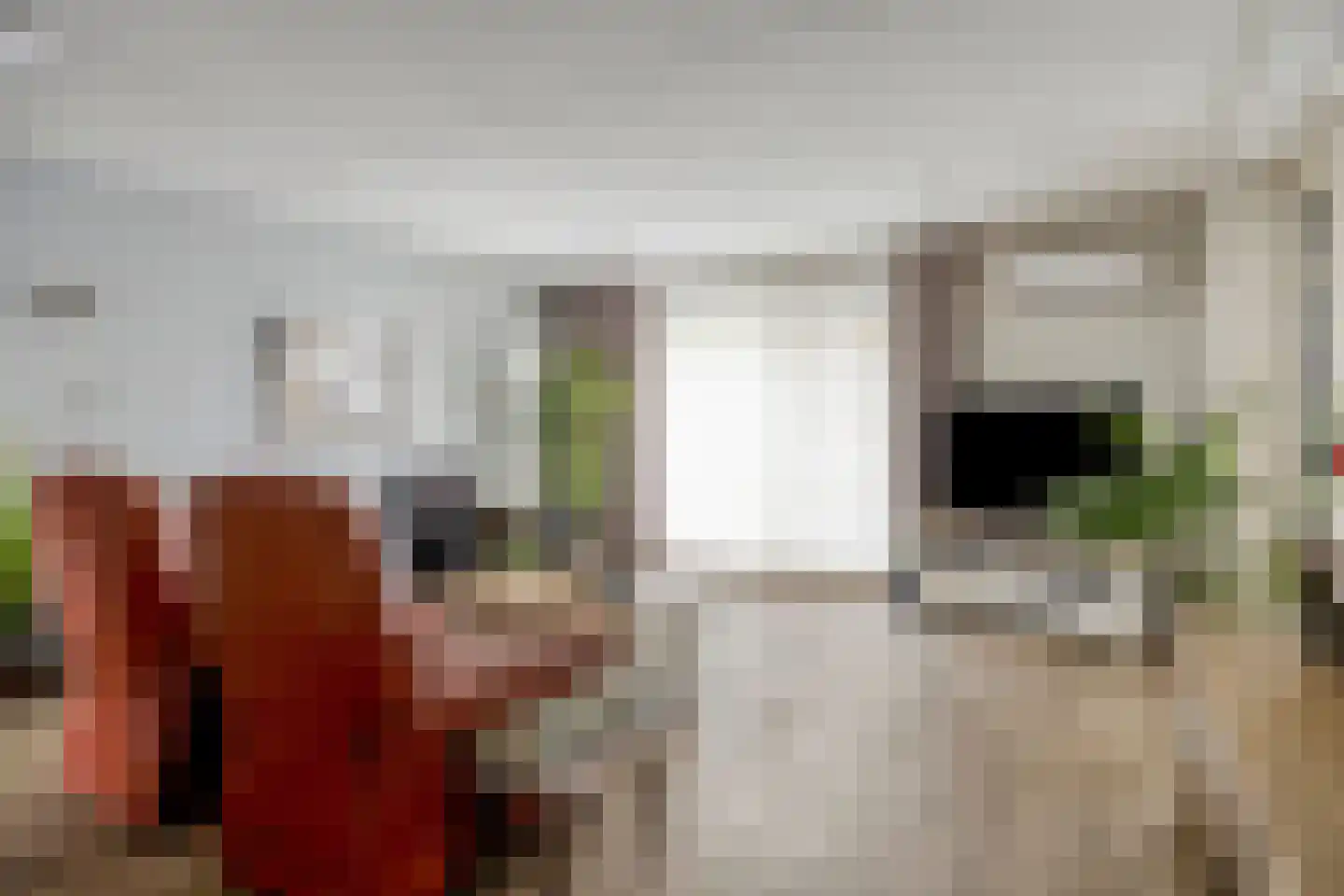 Pastoor Spieringsstraat 42 Uden thumbnail 7