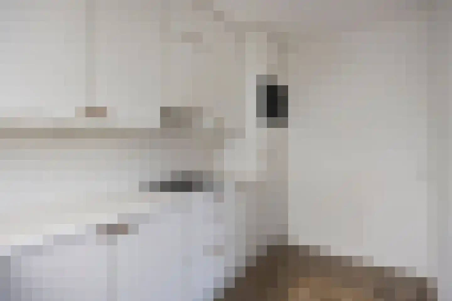 Pastoor Spieringsstraat 46 Uden thumbnail 11