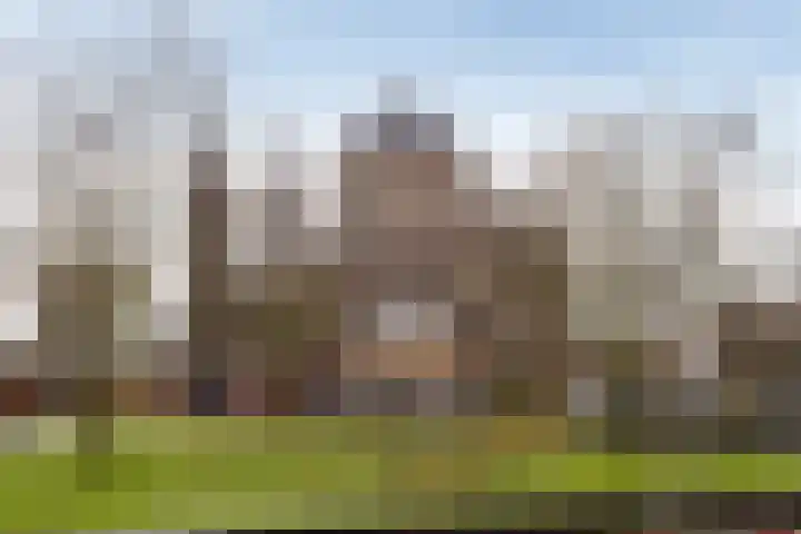 Pastoor Spieringsstraat 48 Uden thumbnail 43