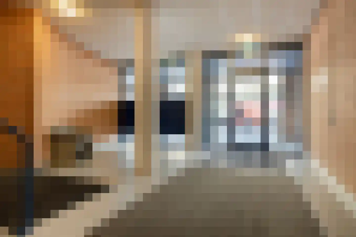 Pastoor Spieringsstraat 69 Uden thumbnail 5