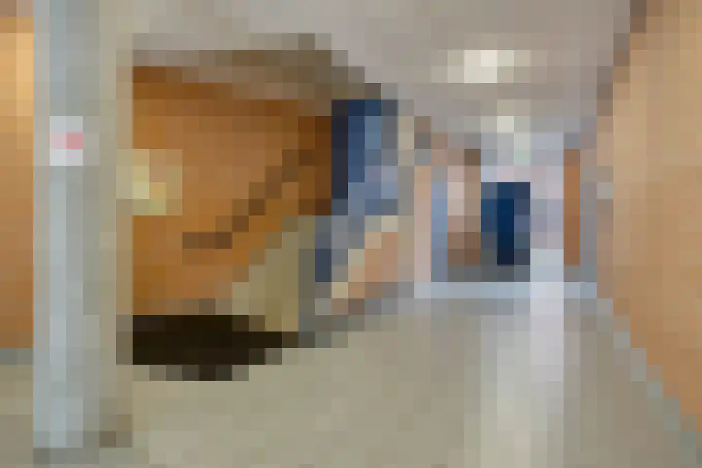 Pastoor Spieringsstraat 83 Uden thumbnail 31