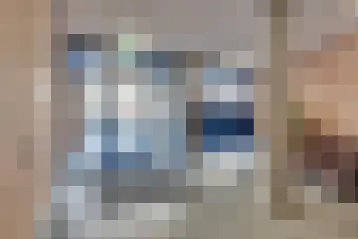 Pastoor Spieringsstraat 91 Uden thumbnail 6