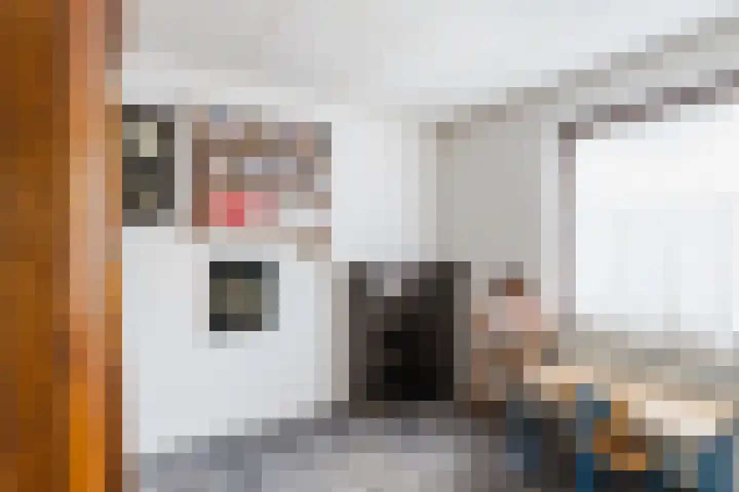 Pastoor Sprangersstraat 2 Goirle thumbnail 20