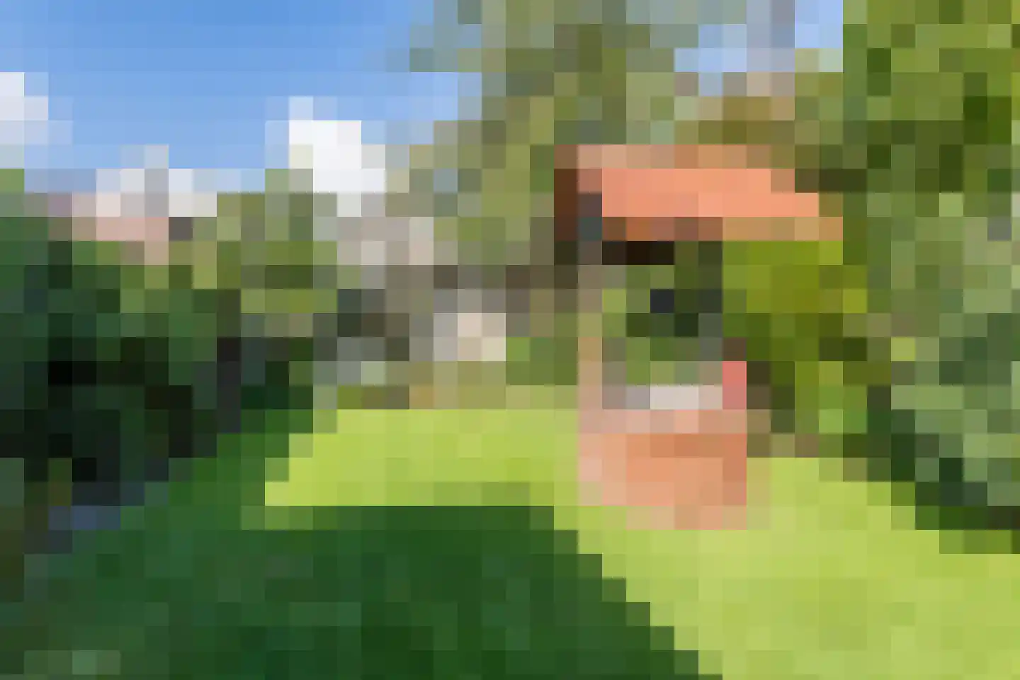 Pastoor Sprangersstraat 2 Goirle thumbnail 29