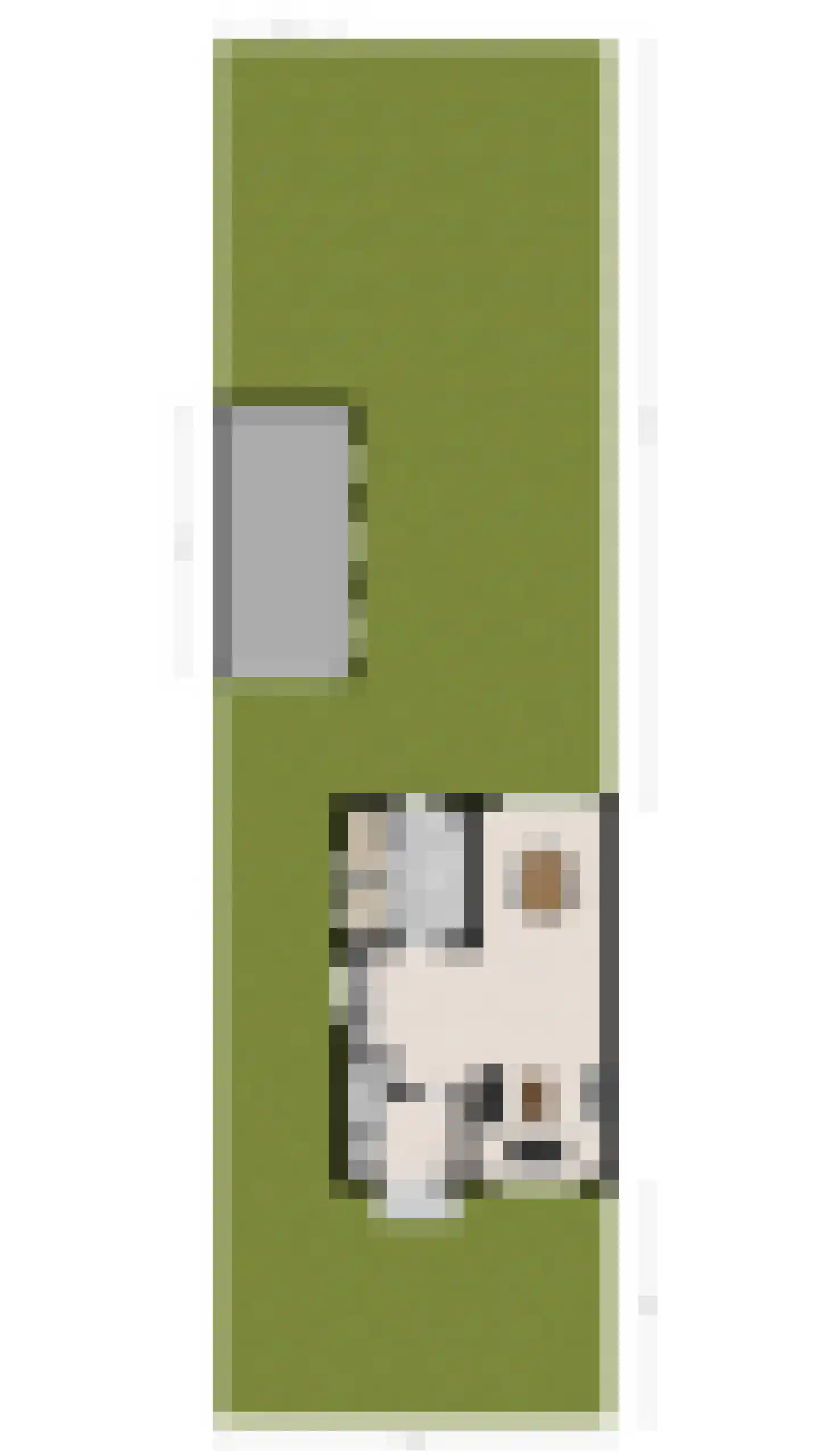 Pastoor Sprangersstraat 2 Goirle thumbnail 33