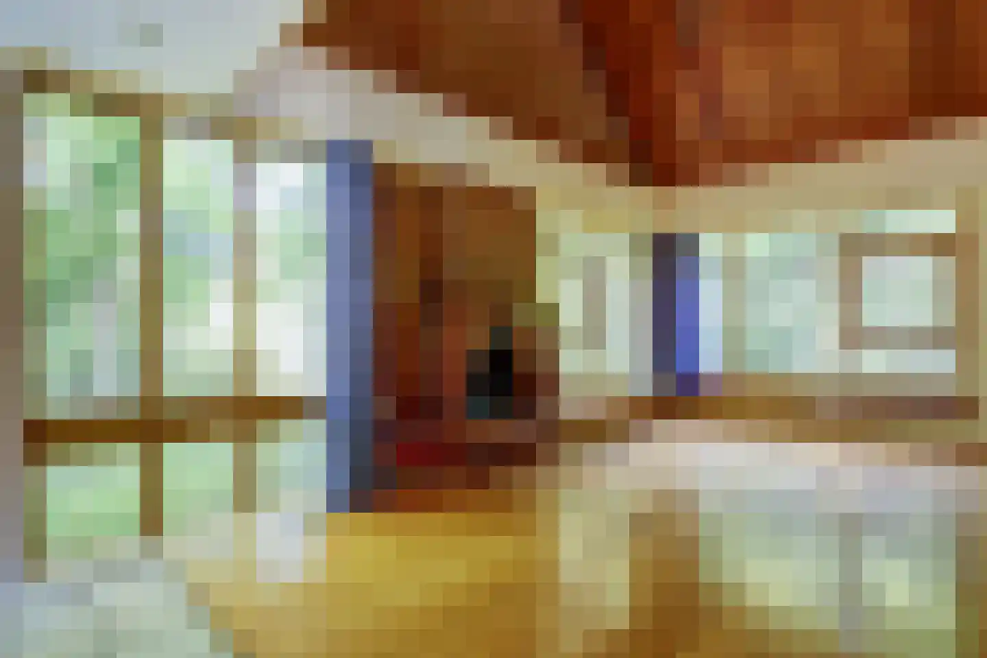 Pastoor Sprengerstraat 1 Heerhugowaard thumbnail 10