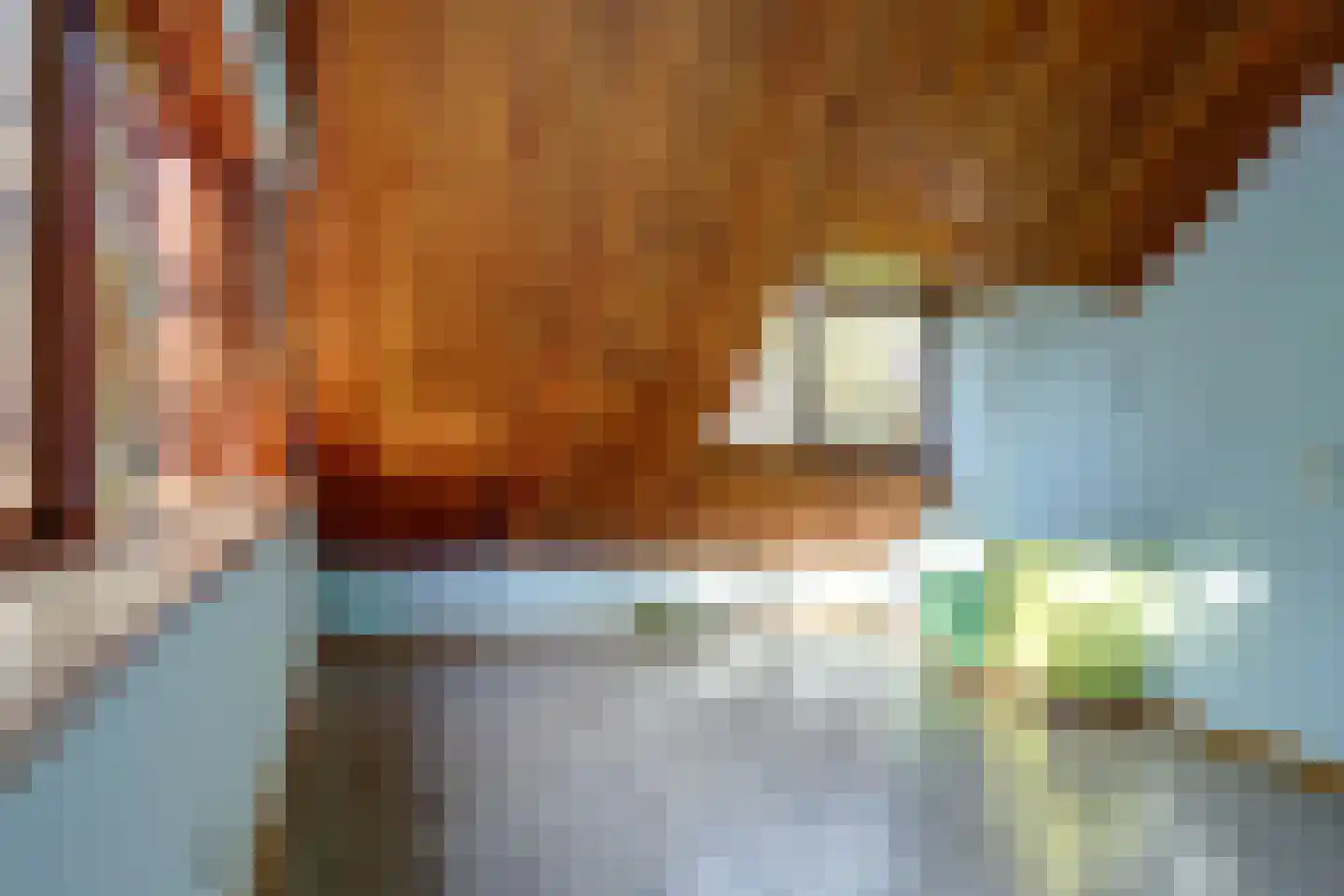 Pastoor Sprengerstraat 1 Heerhugowaard thumbnail 29