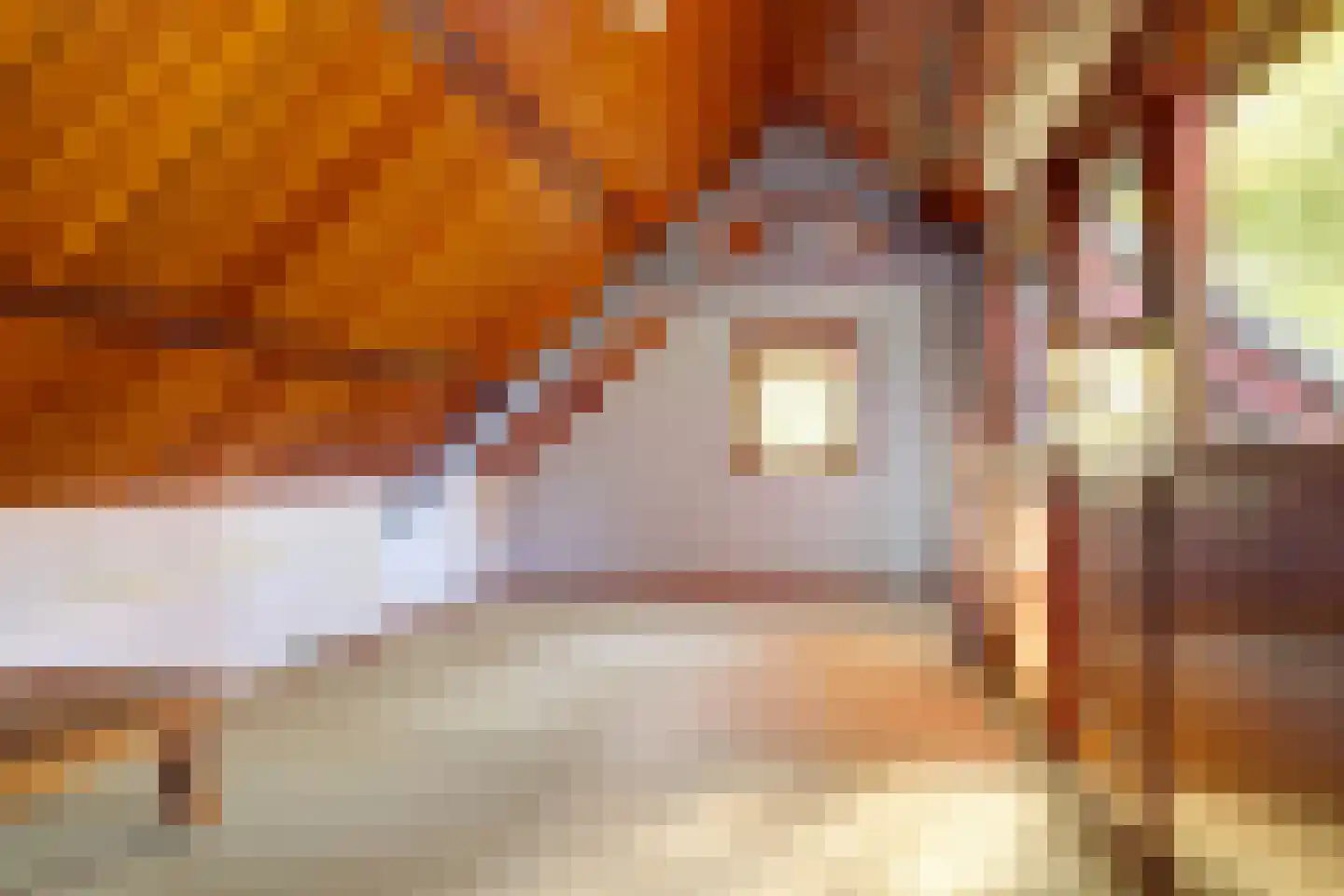 Pastoor Sprengerstraat 1 Heerhugowaard thumbnail 30