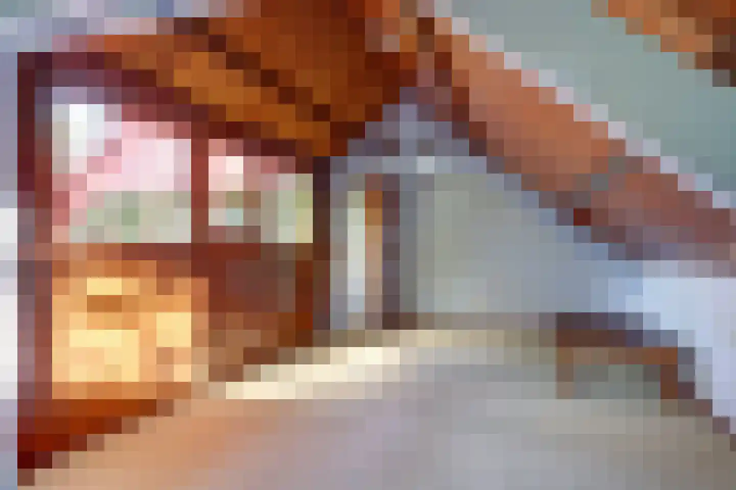 Pastoor Sprengerstraat 1 Heerhugowaard thumbnail 31