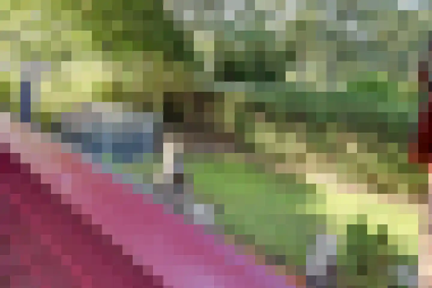 Pastoor Sprengerstraat 1 Heerhugowaard thumbnail 33