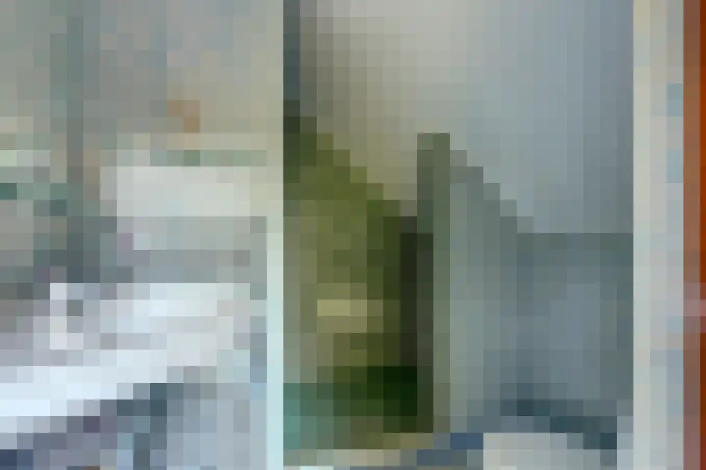 Pastoor Sprengerstraat 1 Heerhugowaard thumbnail 34