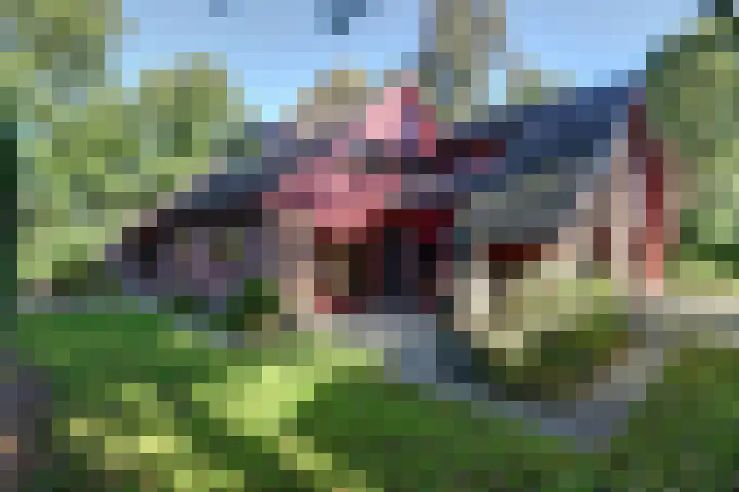 Pastoor Sprengerstraat 1 Heerhugowaard thumbnail 36