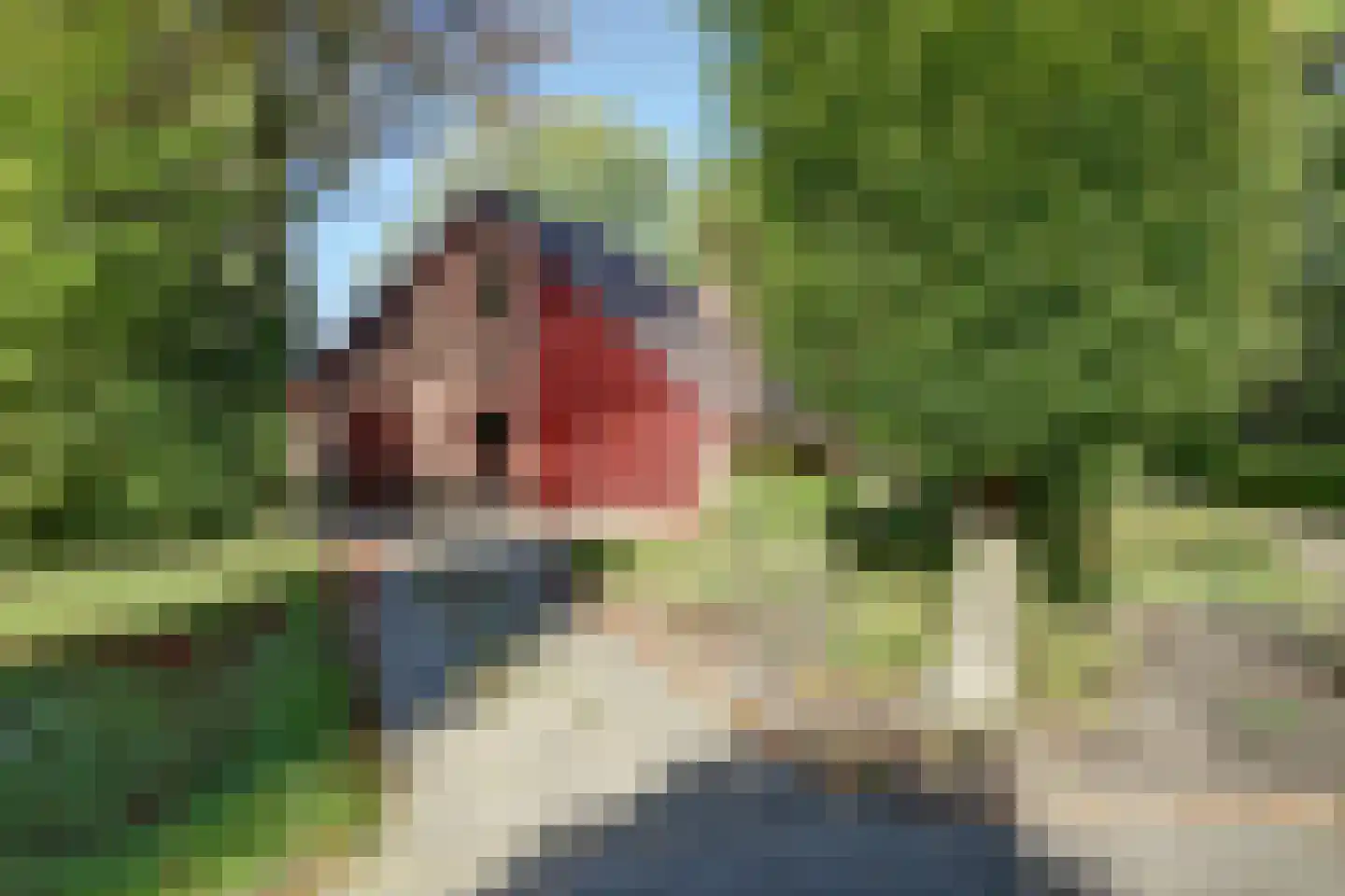 Pastoor Sprengerstraat 1 Heerhugowaard thumbnail 47