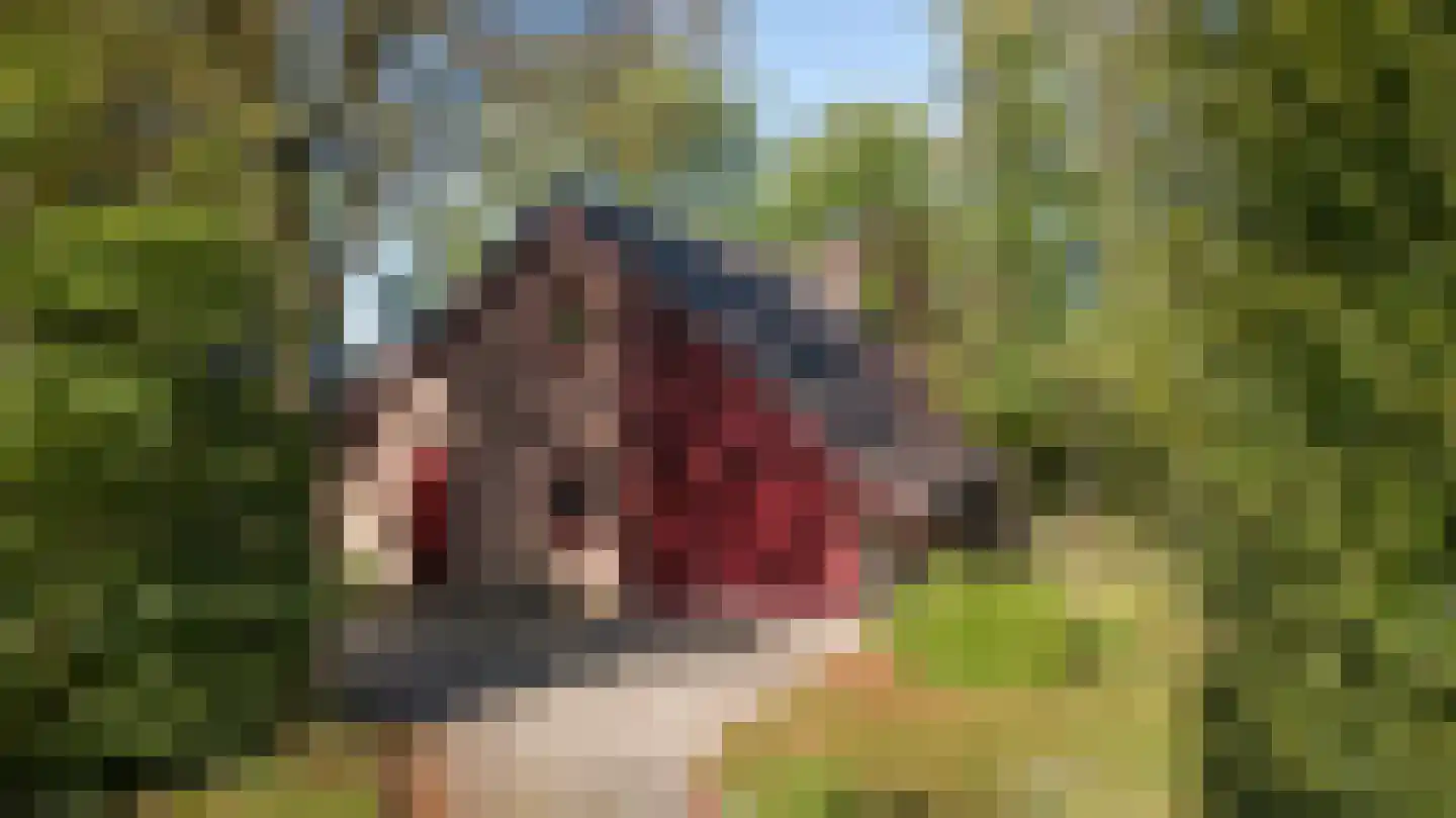 Pastoor Sprengerstraat 1 Heerhugowaard thumbnail 48