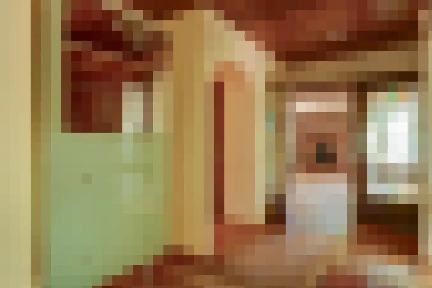 Pastoor Sprengerstraat 1 Heerhugowaard thumbnail 8