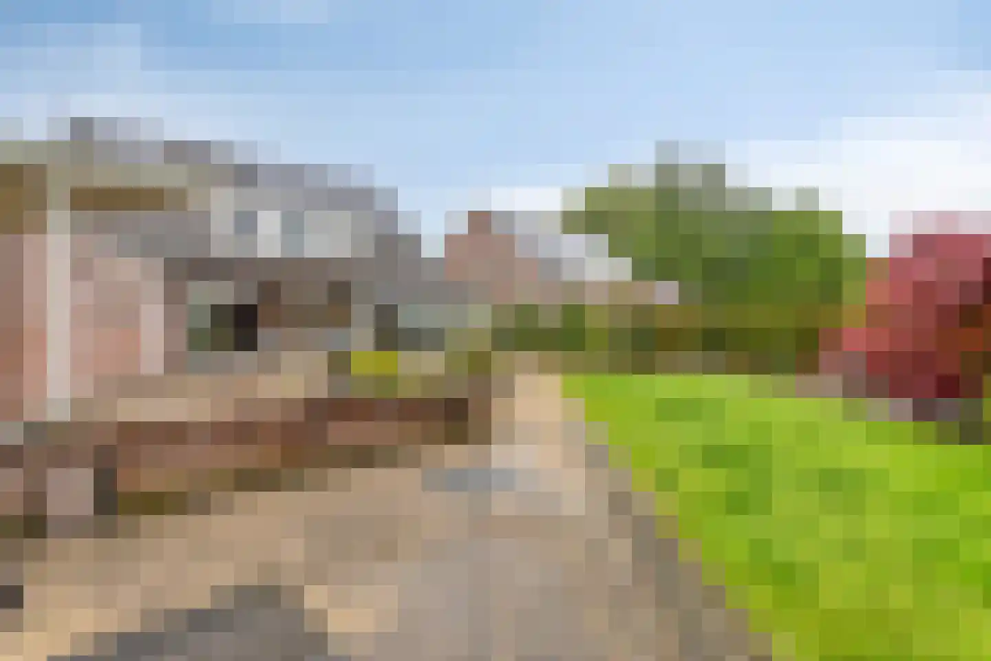 Pastoor Starmansstraat 14 Eijsden thumbnail 47