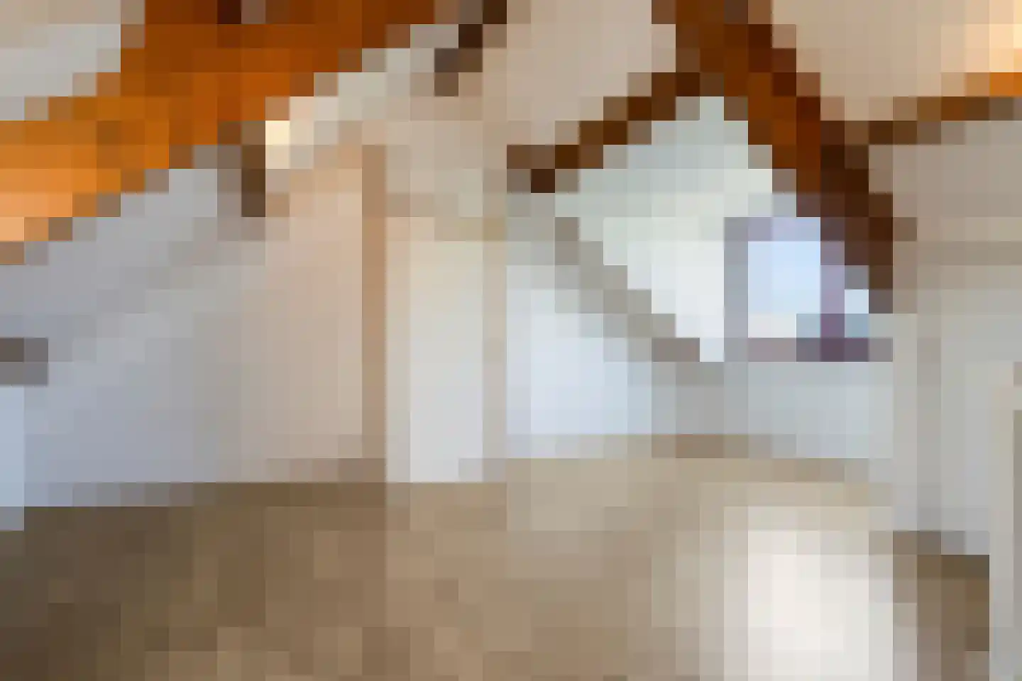 Pastoor Starmansstraat 25 Eijsden thumbnail 21