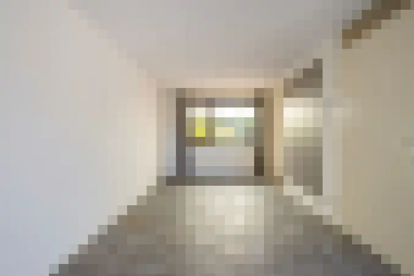 Pastoor Starmansstraat 25 Eijsden thumbnail 7