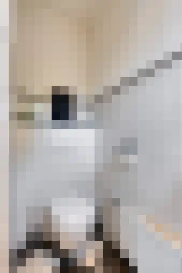 Pastoor Stassenstraat 10 Venlo thumbnail 12