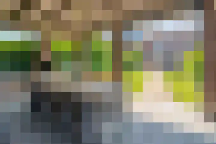 Pastoor Stassenstraat 10 Venlo thumbnail 27